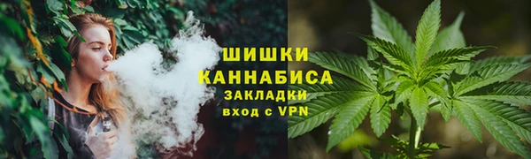 PSILOCYBIN Карпинск