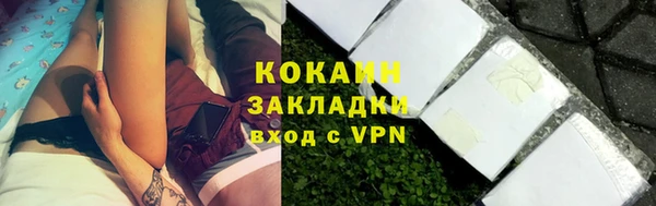 ГАЛЛЮЦИНОГЕННЫЕ ГРИБЫ Карталы