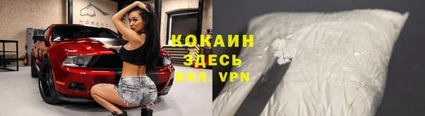 PSILOCYBIN Карпинск