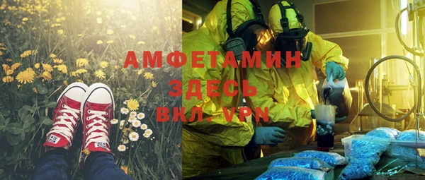 ГАЛЛЮЦИНОГЕННЫЕ ГРИБЫ Карталы