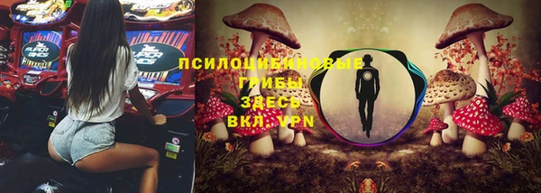 метадон Касимов