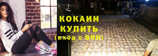 ГАЛЛЮЦИНОГЕННЫЕ ГРИБЫ Карталы