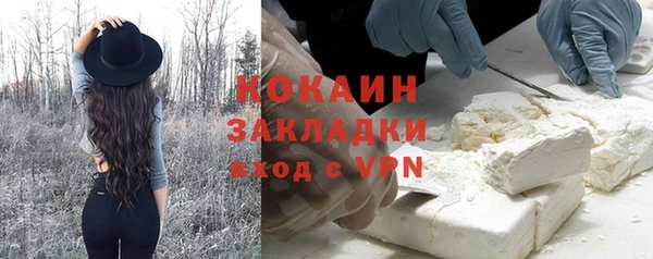 ГАЛЛЮЦИНОГЕННЫЕ ГРИБЫ Карталы