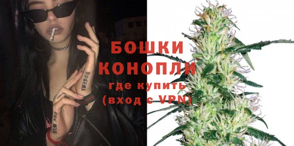 ГАЛЛЮЦИНОГЕННЫЕ ГРИБЫ Карталы