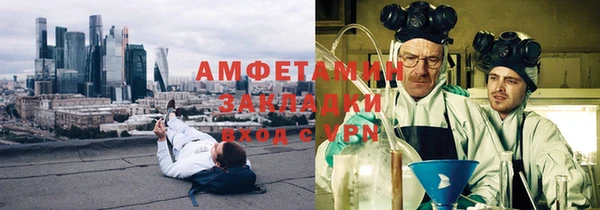 ГАЛЛЮЦИНОГЕННЫЕ ГРИБЫ Карталы