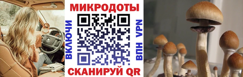 Купить где  Коммунар  Галлюциногенные грибы Magic Shrooms 